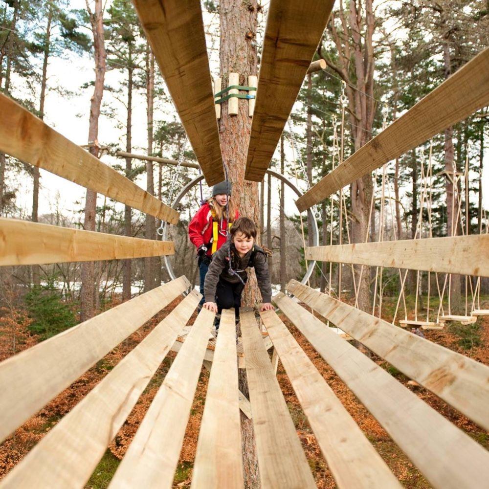 TreeZone Loch Lomond