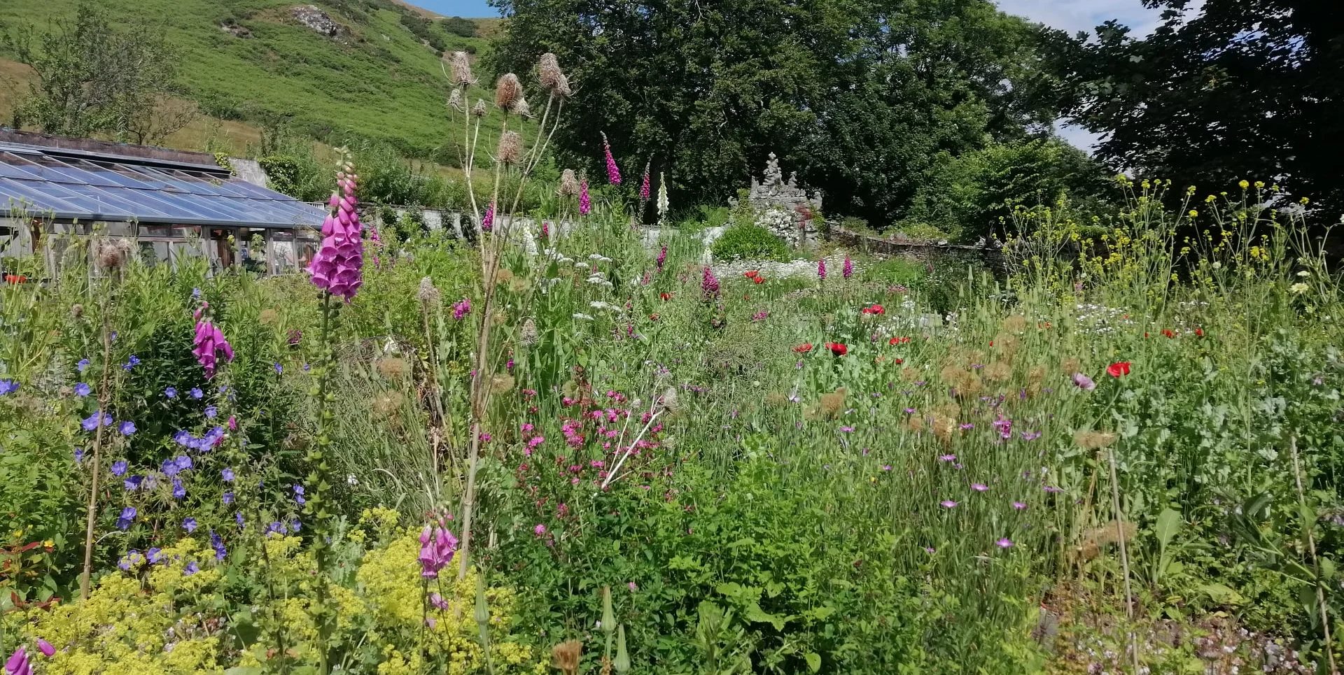 Ford Park (Ulverston) Top 100