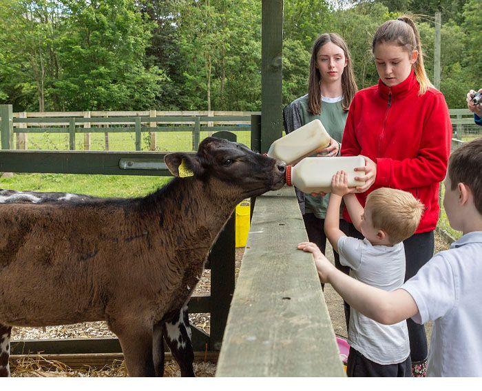 Almond Valley Heritage Centre