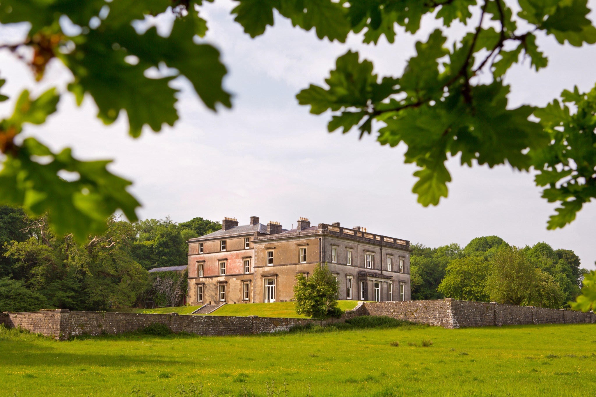 Temple House Top 100