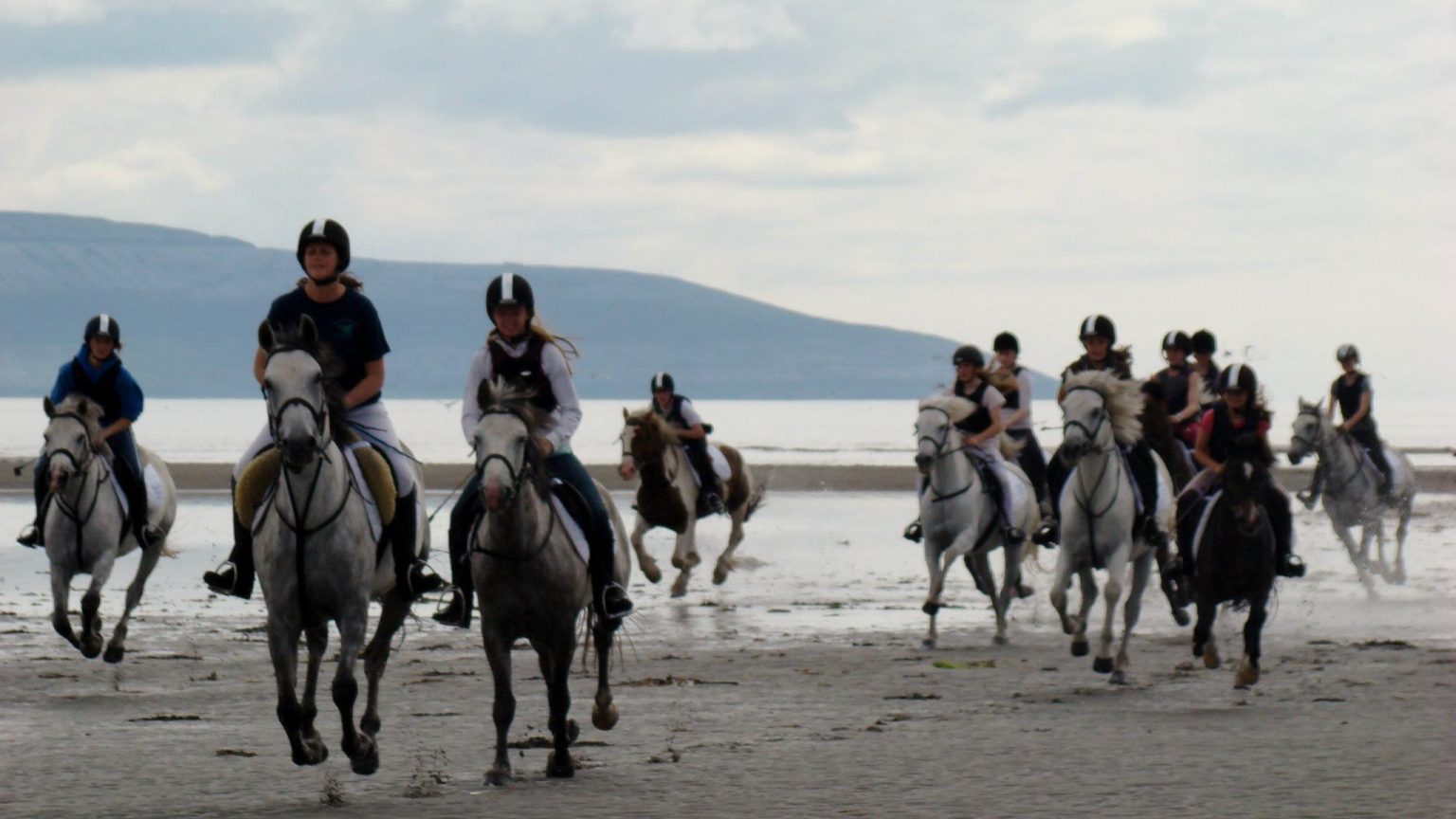 Moycullen Riding Centre Top 100 Attractions