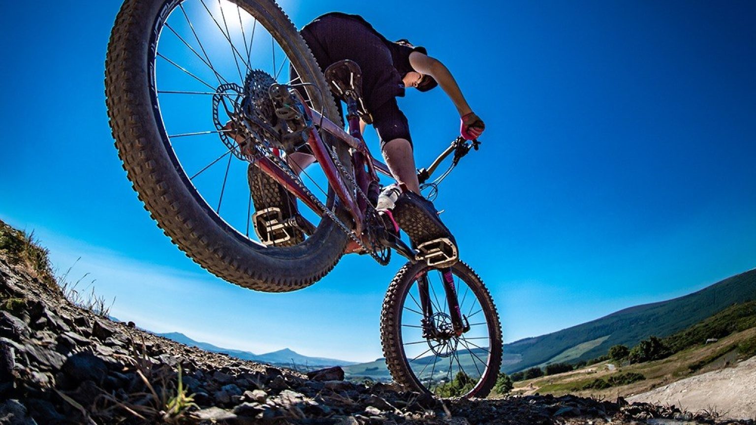 Gap - Glencullen Adventure Park