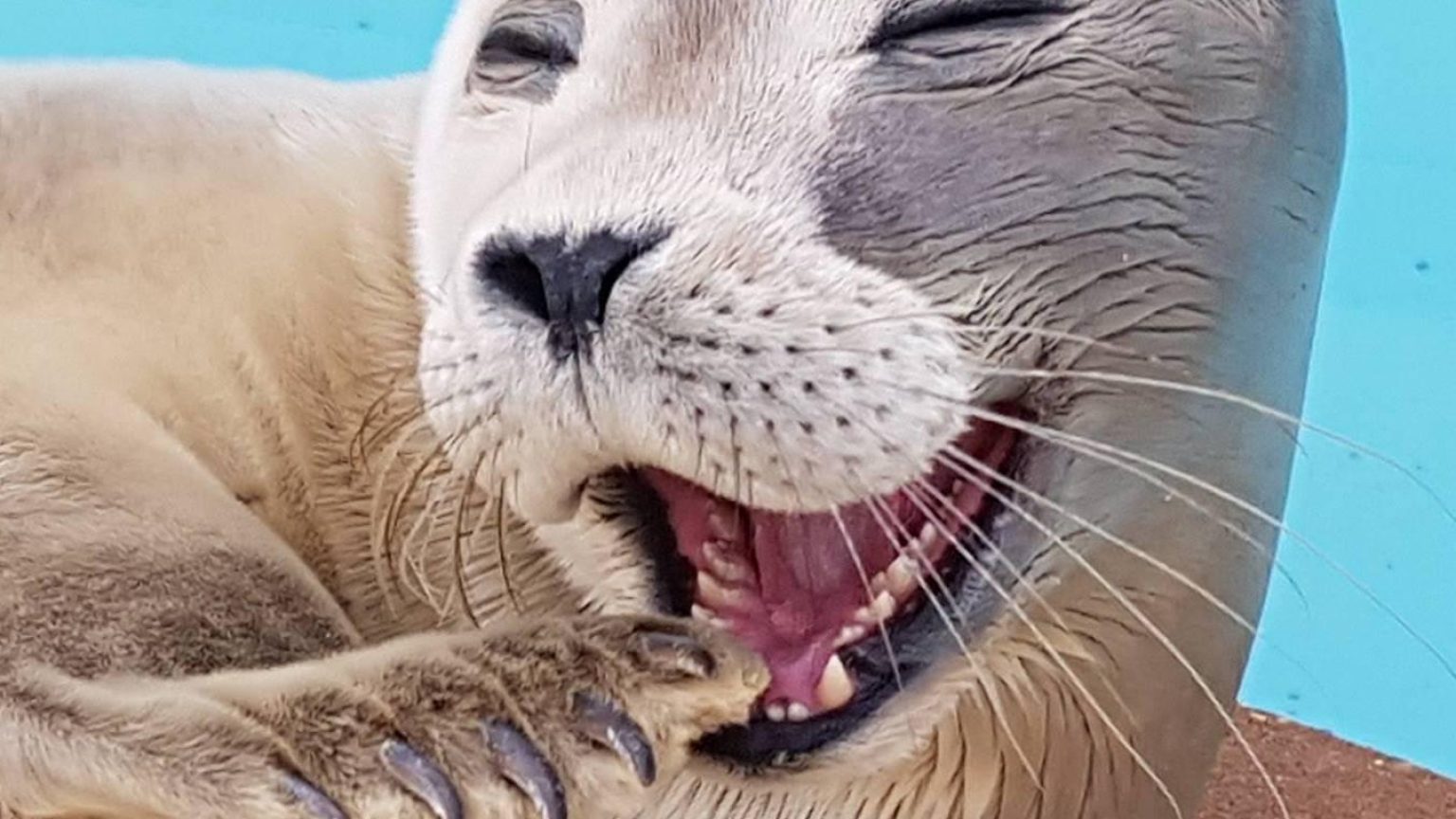 Natureland Seal Sanctuary 1