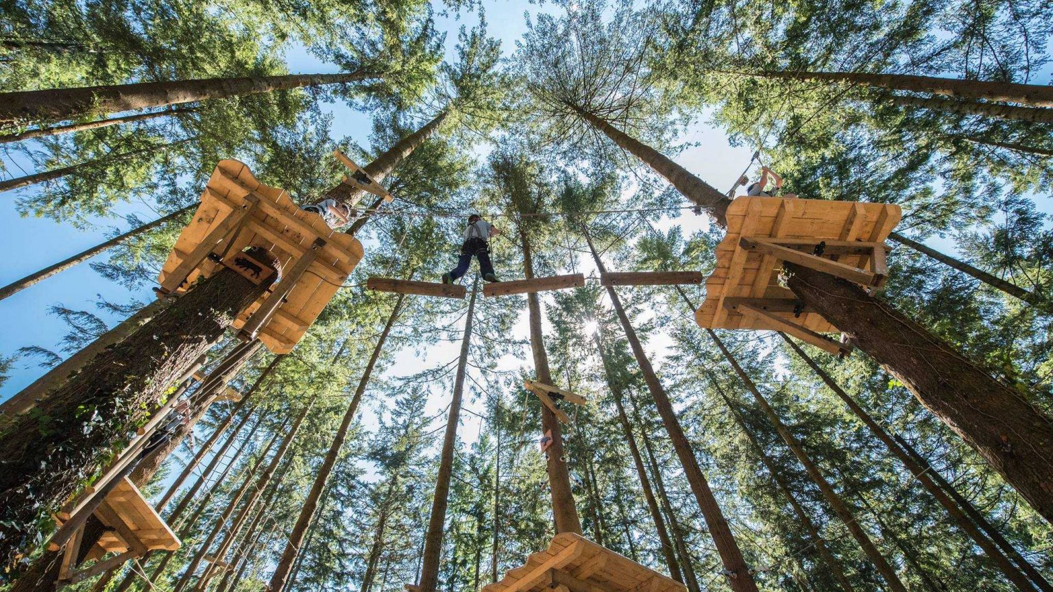 Zip World Fforest Top 100 Attractions Zip World Fforest Top 100 Attractions
