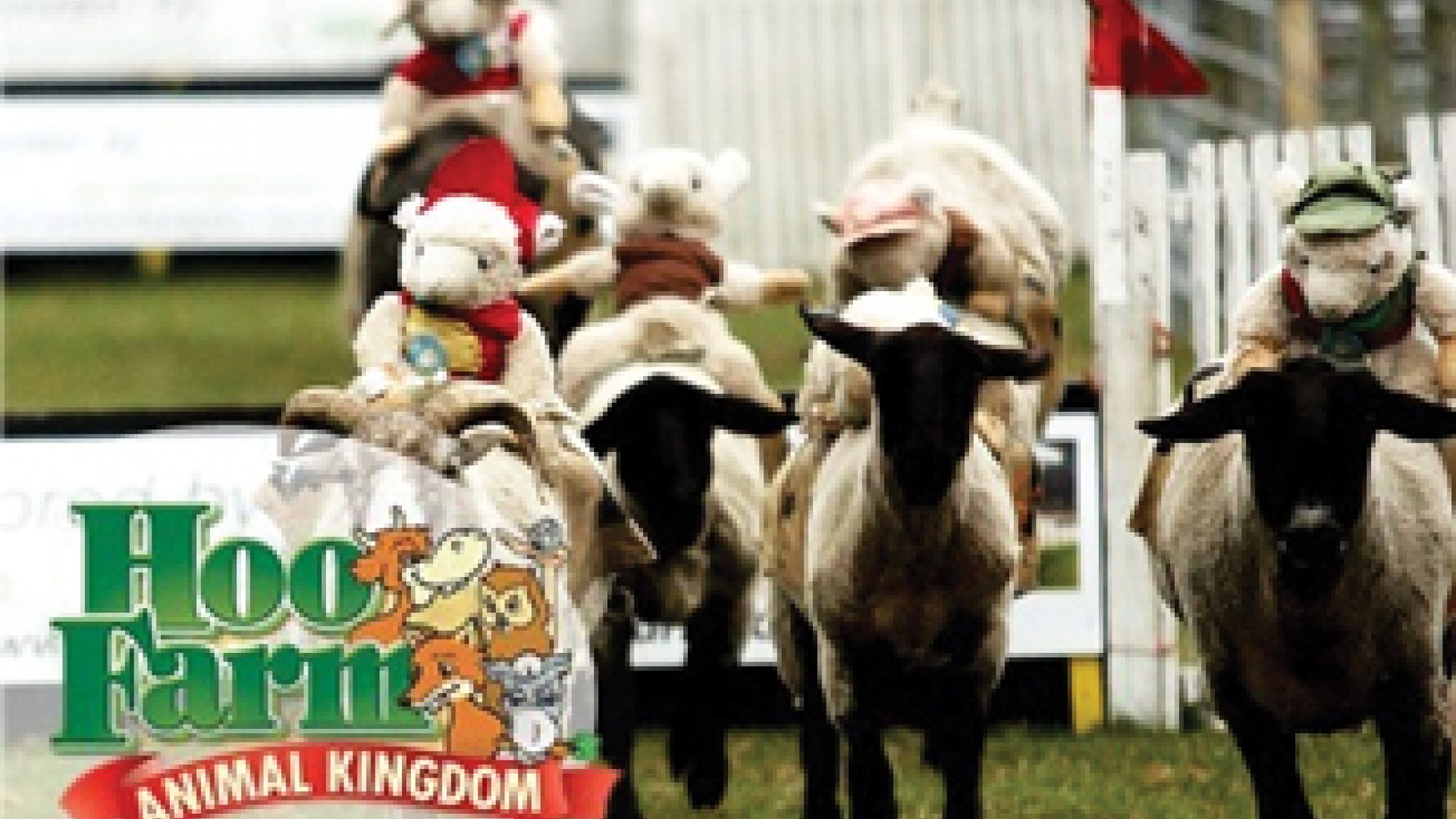 Hoo Farm Animal Kingdom | Top 100