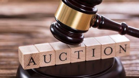 475998928 1177049537763836 3546566357579124568 n