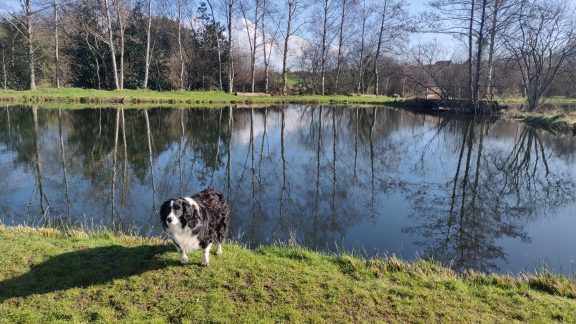 Annaginny Fishery 14