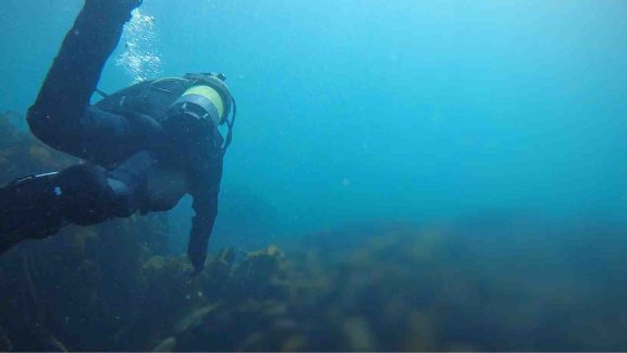 Waterworld Dive Centre 1