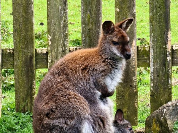 Annaginny Fishery 13