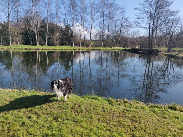 Annaginny Fishery 14