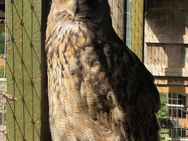 Annaginny Fishery 16