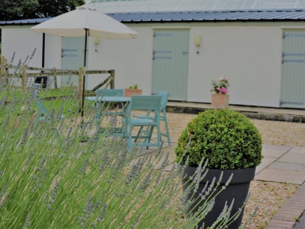 Golly Farm Cottages 8