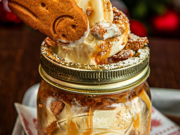 Hicks Christmas Gingerbread Fro Co 2025 2 LR