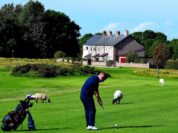 Holywell Golf Club 6