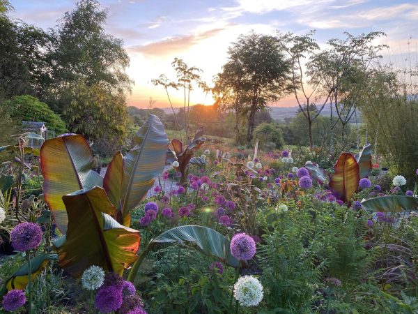 Hunting Brook Garden 5