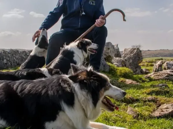 IMG 20220420 WA0003 jpg