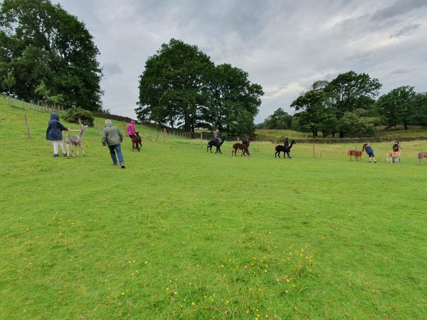 Little of Everything 3