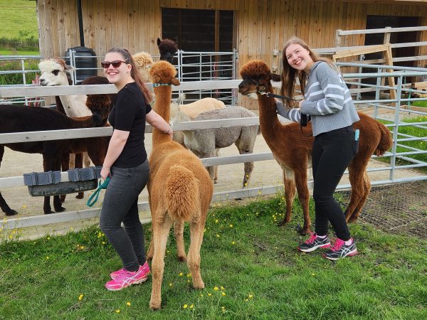 Little of Everything