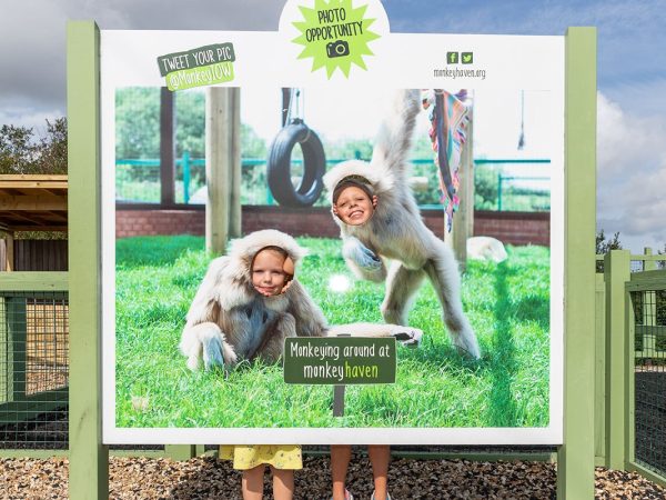 Monkey Haven 4