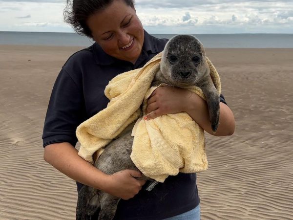 Natureland Seal Sanctuary 2