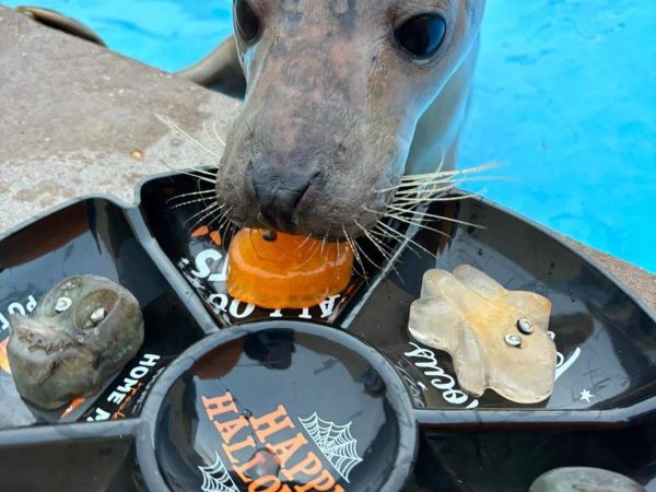 Natureland Seal Sanctuary 3