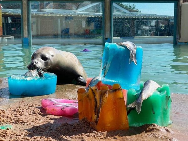 Natureland Seal Sanctuary 4