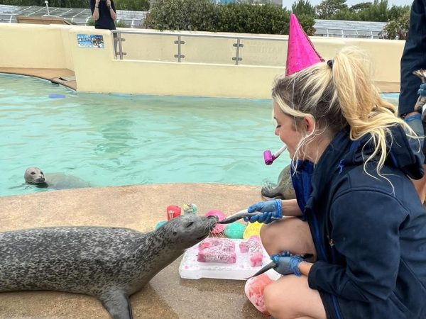 Natureland Seal Sanctuary 5