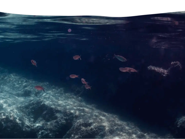 Real Adventures Connemara 3