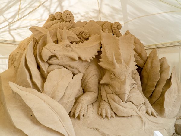 SW 2024 Open Day 013