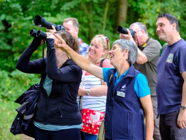 WWT Llanelli Wetland Centre 78jpg