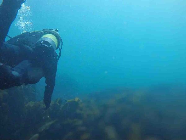 Waterworld Dive Centre 1