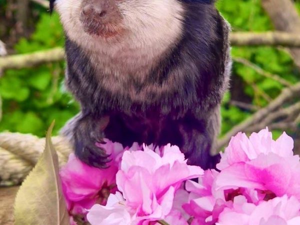 Image 6483441 1