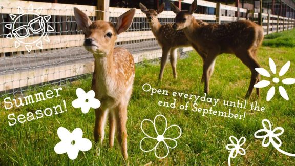 471682999 10162049339903744 1975644140647017527 n