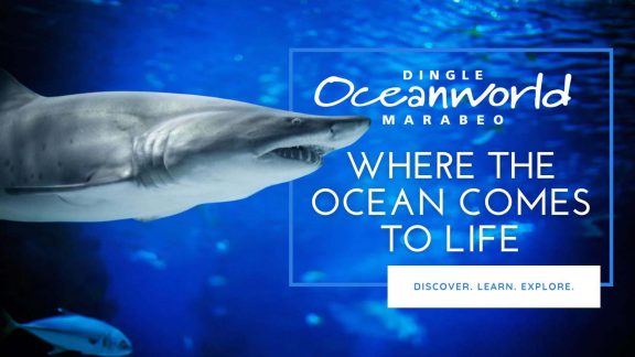 481809004 962133329423838 6292929479438677866 n