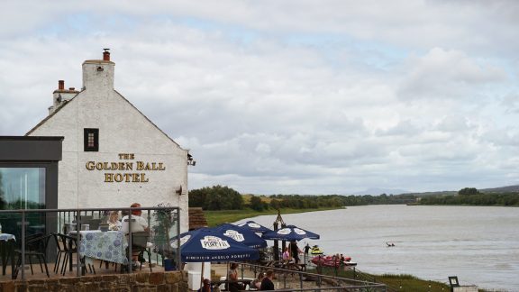 522849035 1304910871636157 8203178067339257602 n