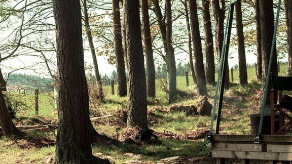 Ruberslaw Wild Woods Glamping 9