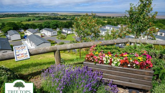 Tree Tops Caravan Park tmb