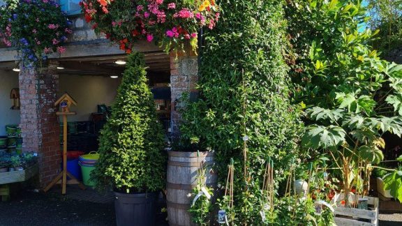 Background 1634896806 n